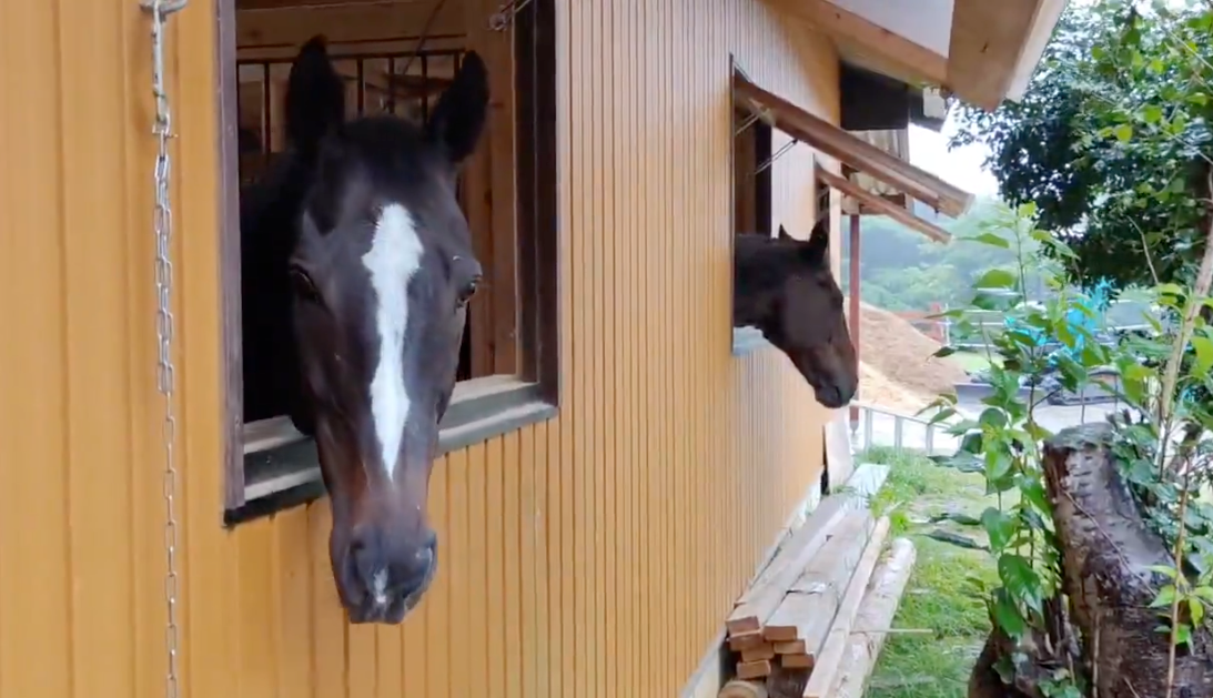 3d2a1db0ec5e5cf6409d5ea32dcc5ef9-1761879098.png 3d2a1db0ec5e5cf6409d5ea32dcc5ef9-1761879098.png